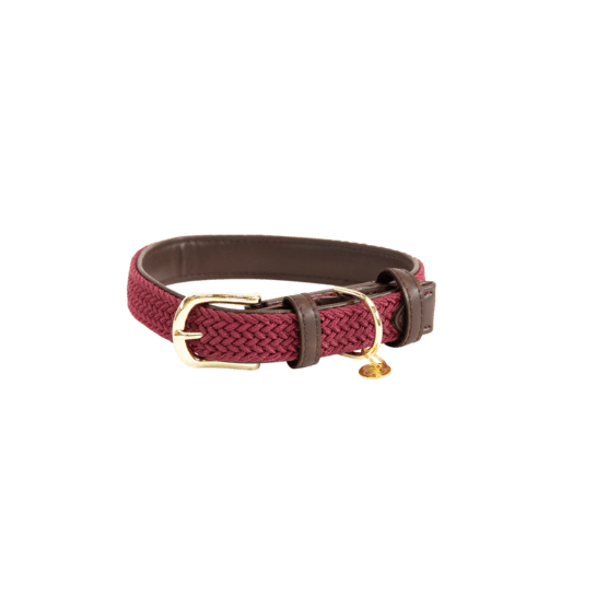 Kentucky Plaited Nylon Dog Collar - Bordeaux - animondo.dk