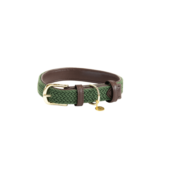 Kentucky Plaited Nylon Dog Collar - Olivengrøn - animondo.dk