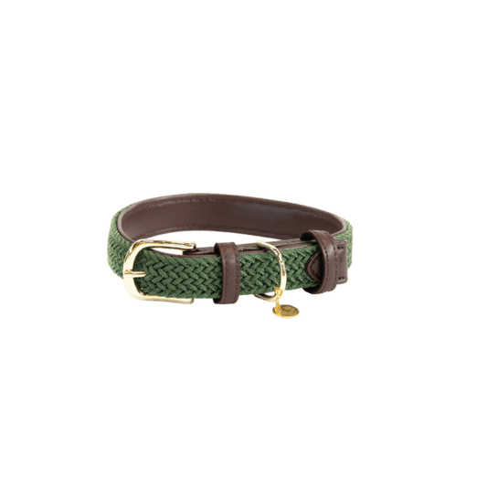 Kentucky Plaited Nylon Dog Collar - Olivengrøn - animondo.dk