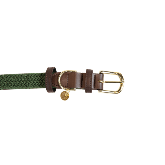 Kentucky Plaited Nylon Dog Collar - Olivengrøn - animondo.dk