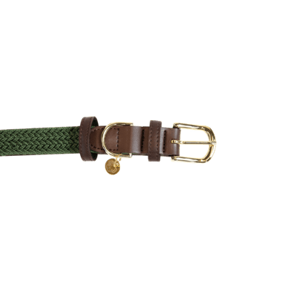 Kentucky Plaited Nylon Dog Collar - Olivengrøn - animondo.dk