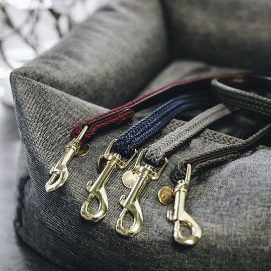 Kentucky Plaited Nylon Dog Lead - Bordeaux - animondo.dk