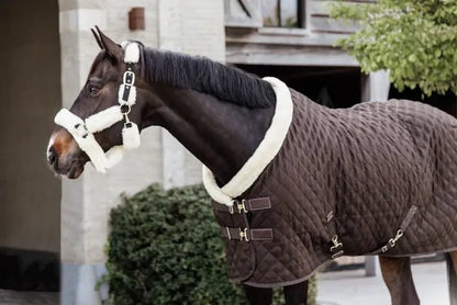 Kentucky Show Rug - Brown - animondo.dk