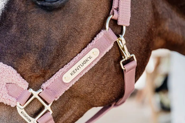 Kentucky Teddy Fleece Halter - Old Rose - animondo.dk