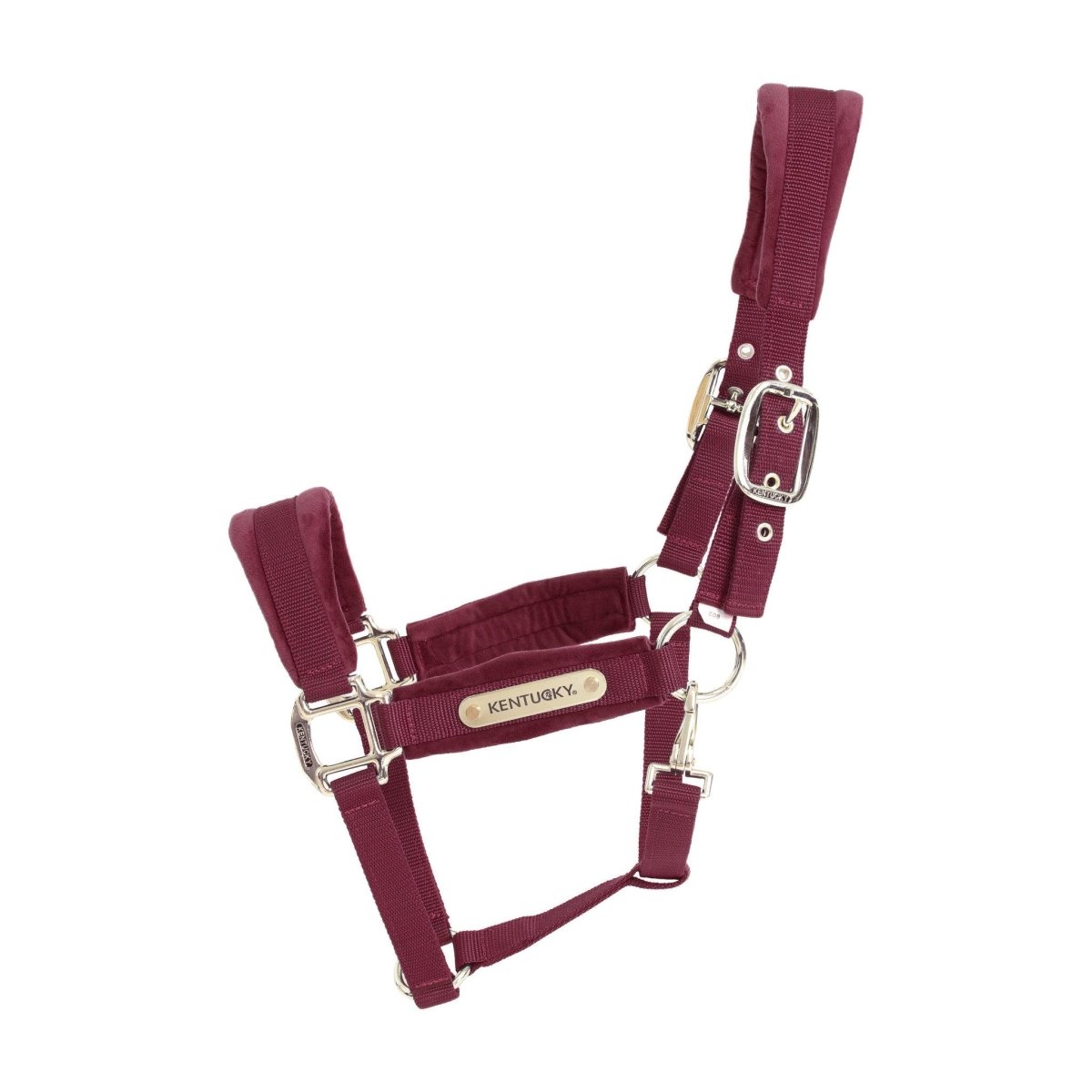 Kentucky Velvet Halter - Bordeaux - animondo.dk