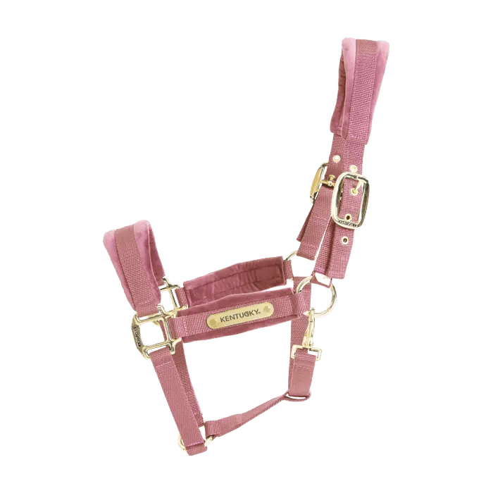 Kentucky Velvet Halter - Old rose - animondo.dk