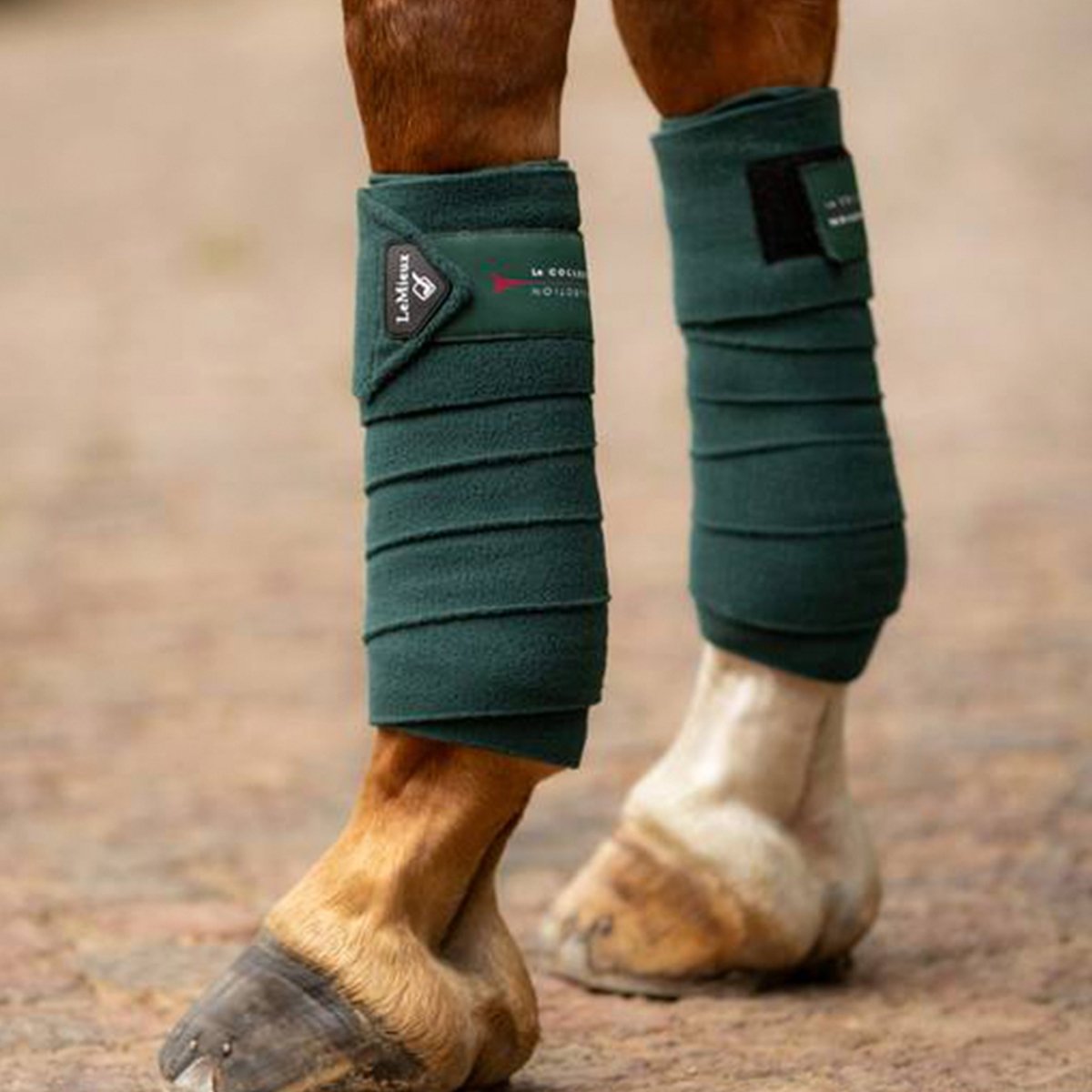 LeMieux Bandager - AW23 - "Classic Polo" - Spruce - animondo.dk - UDGÅR - AW23 - IT03262008