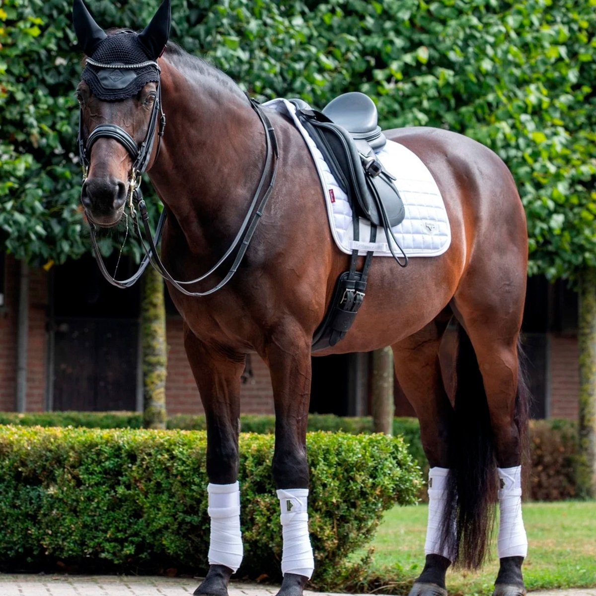 LeMieux Loire Classic Dressage Square Sadelunderlag - Hvid - animondo.dk