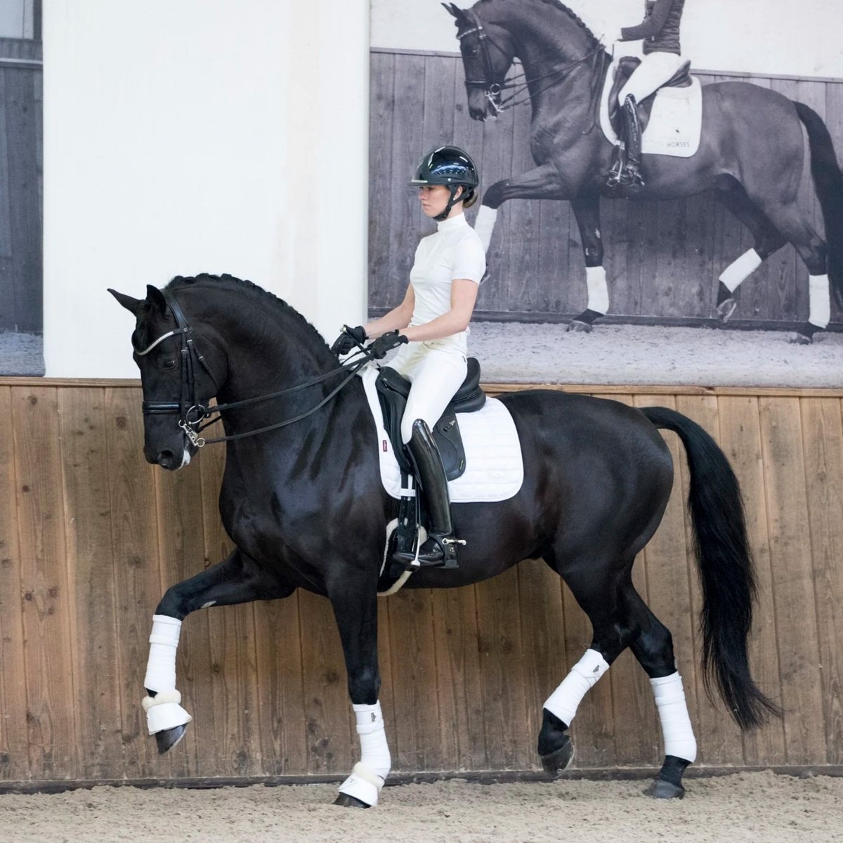 LeMieux Loire Classic Dressage Square Sadelunderlag - Hvid - animondo.dk