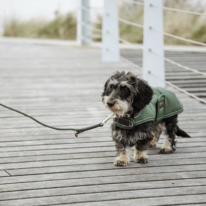 Plaited Nylon dog lead Olivengrøn - animondo.dk