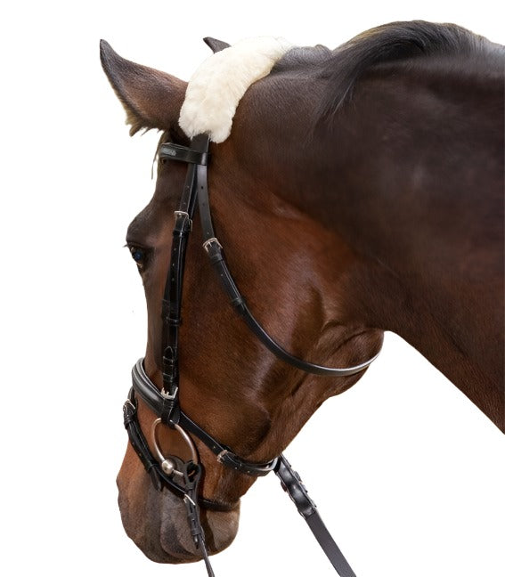 Real Lambskin-Noseband Sleeve, 27 cm, beige - animondo.dk