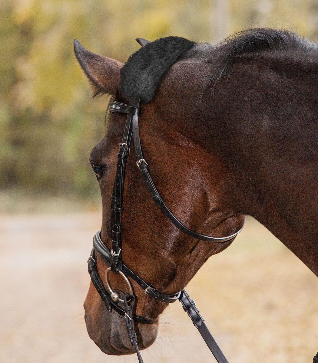 Real Lambskin-Noseband Sleeve, 27 cm, black - animondo.dk