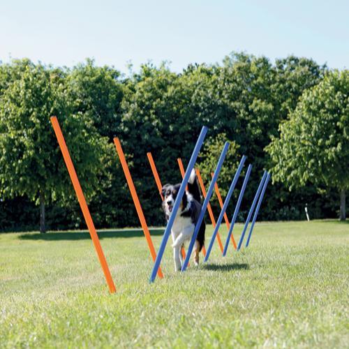 Trixie 12 Agility slalom pinde 115cm - animondo.dk