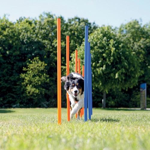 Trixie 12 Agility slalom pinde 115cm - animondo.dk