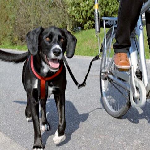 Trixie Biker-sæt de Luxe afstandshold - animondo.dk