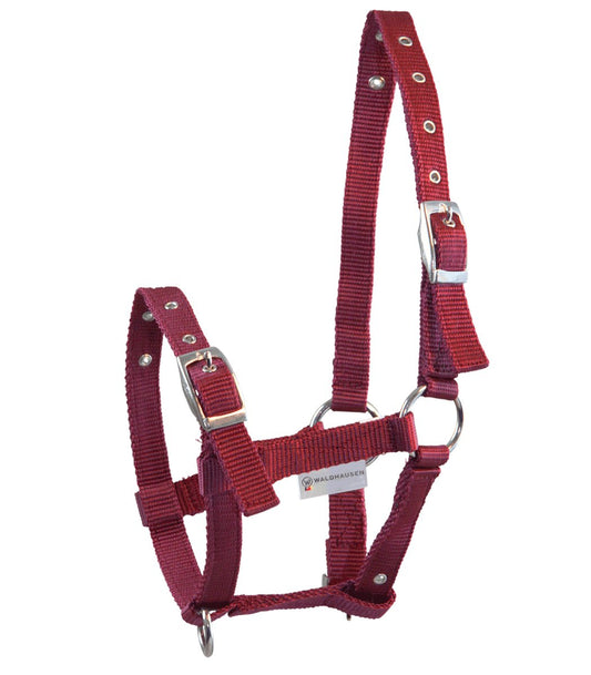 Waldhausen Foal halter Triple, bordeaux - animondo.dk