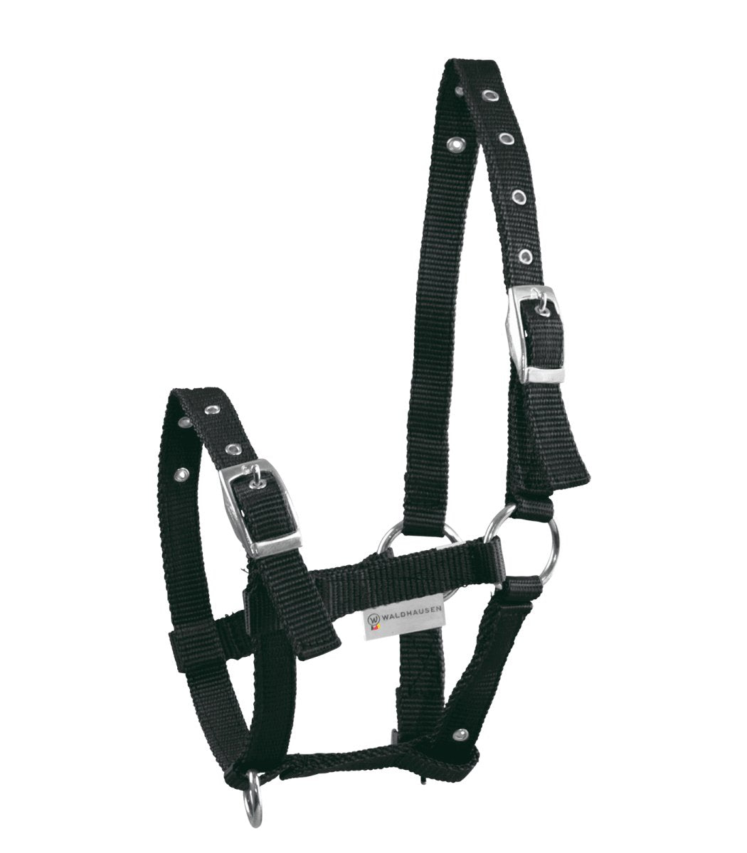 Waldhausen Foal halter Triple - Sort - animondo.dk