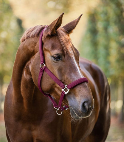 Waldhausen Halter Satin - Burgundyred - animondo.dk