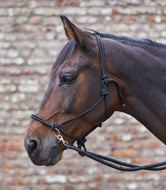 Waldhausen Knot Halter with rein - Sort - animondo.dk