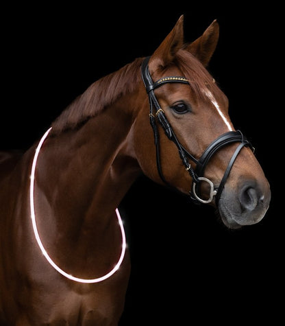 Waldhausen LED Neck Strap - animondo.dk