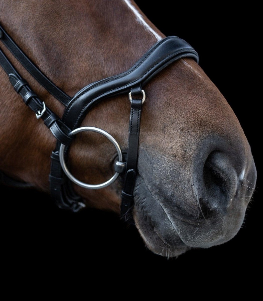 Waldhausen NEW SHAPE II X-LINE BRIDLE - animondo.dk