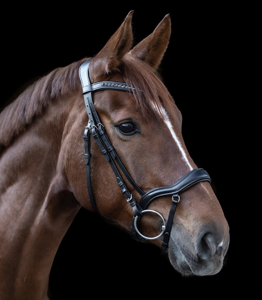 Waldhausen NEW SHAPE II X-LINE BRIDLE - animondo.dk