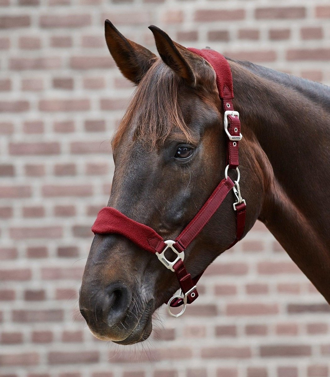 Waldhausen Premium Halter Soft - Pony - animondo.dk